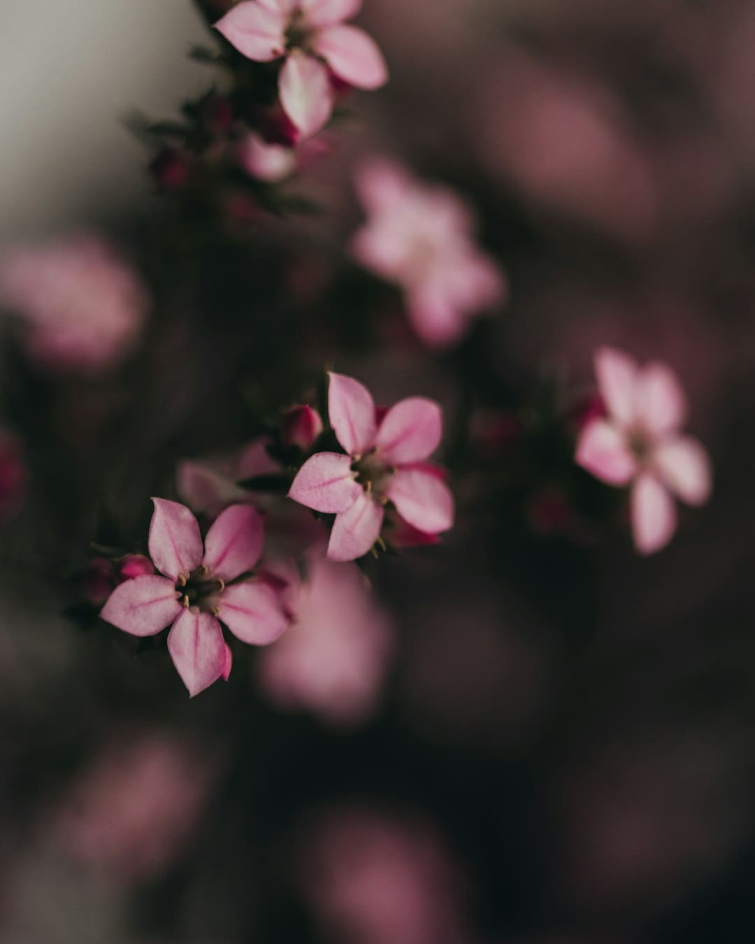 https://aliypic.oss-cn-hangzhou.aliyuncs.com/Uploadfiles/20231114/2023111422420699.001.png